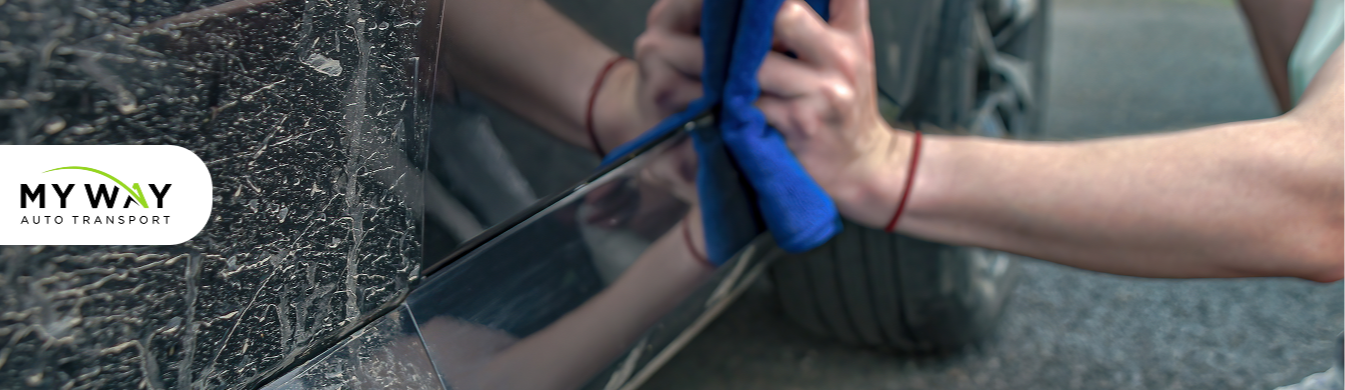 What to Do If Your Classic Car Arrives with Scratches or Scuffs What to Do If Your Classic Car Arrives with Scratches or Scuffs
