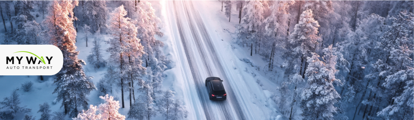 Snowbird car transport: what real customers say about the service Snowbird car transport: what real customers say about the service