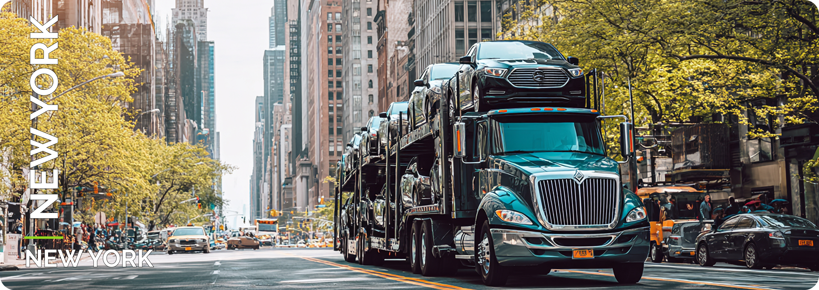 New York City New York City